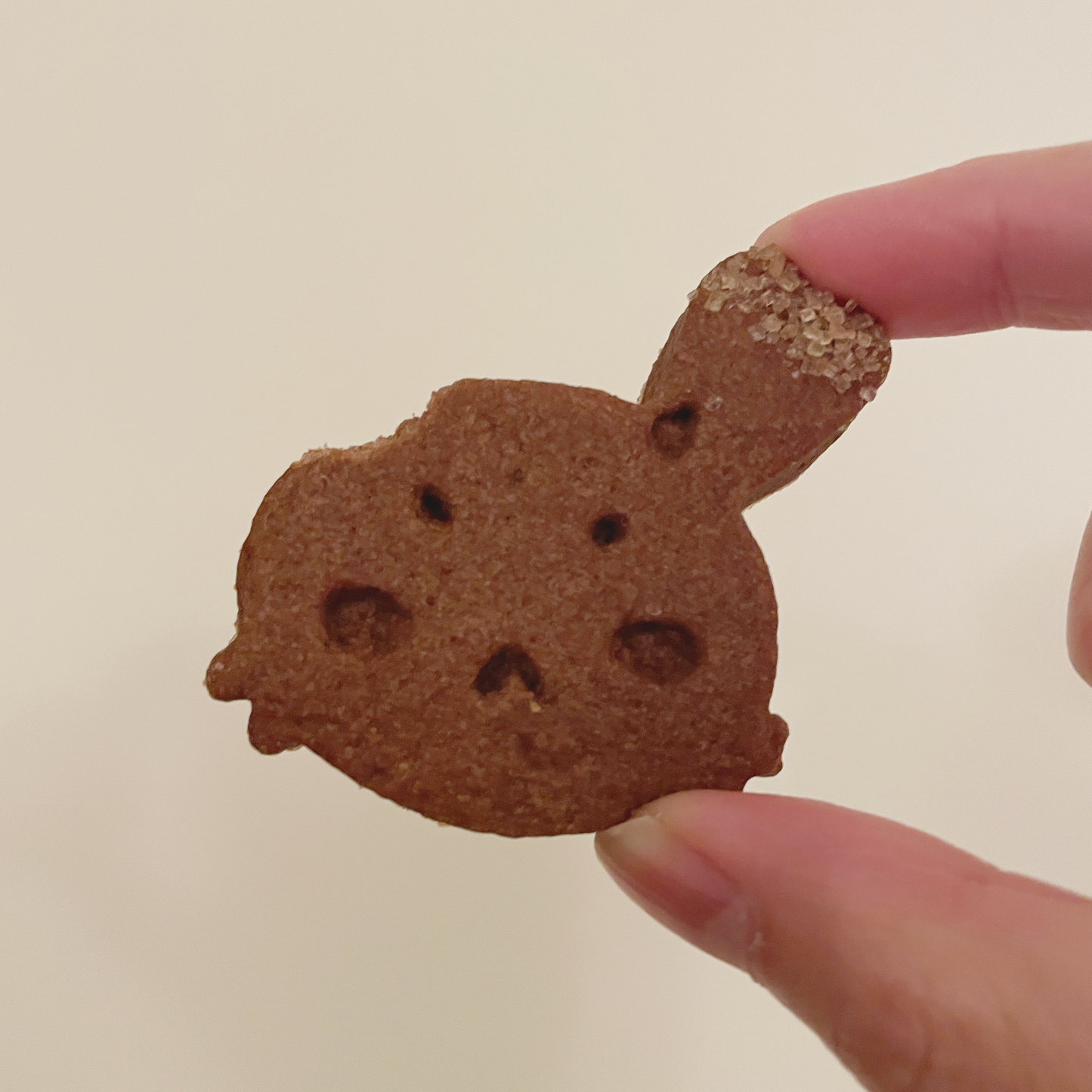 [Preorder] Tiny RPG Cookie Tin Collaboration