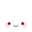 Sakuradragon logo
